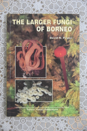 The Larger Fungi of Borneo