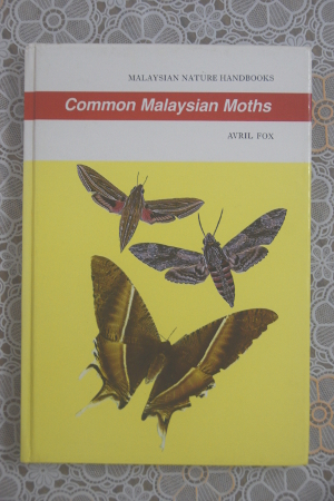 Common Malaysian Moths