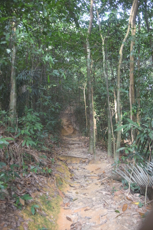 Hillside trail