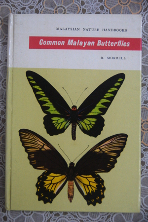 Common Malayan Butterflies